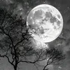 i_am_ayoh_1