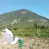 tantai744