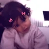 zds_ll
