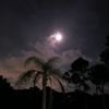 solarteachertammy22