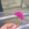 omwaleed212