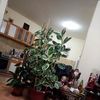 samirqi1