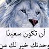 user9490918523606