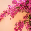 smor_216