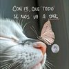 doctormor00