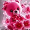 Md Boshir