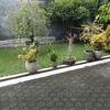jayagemilang.id0