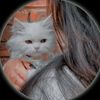 sudai522