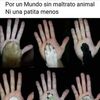 martadaza219
