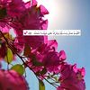 am_tamr