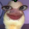 cho20tobunbo