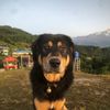 parjal__17