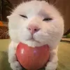 thanhgez_09