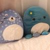 thetwosquishys