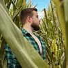 ale_bush