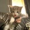 max_2627