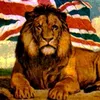 military_lion