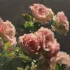 zahr.49