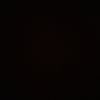 68_dajointt_818