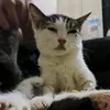 iu.puddinggg
