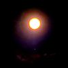 tokito_muichiro_2555