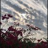 noran_mohammed08