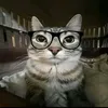 iqmiw_