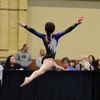 leaping_lily