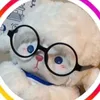 hello_last_april