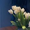 _flowers050