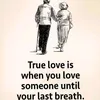 amirhamzah3466