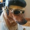 _mr_fino_