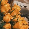 mara.victoria955