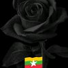 user02oud4aj6w
