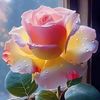 sang.trng49