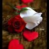 usern9kn79m7fa