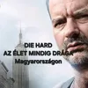 andras741