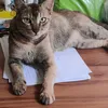 hninhninyee6377