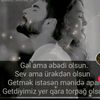 melek743839