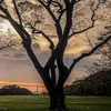 solace_finding