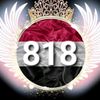 user54009212675312