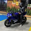 Bandeira🇧🇷🐺