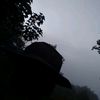luis_31x
