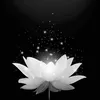 _nhuy303_