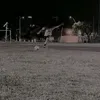 davidsz_1