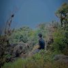 pawan_radeeshana_