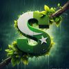 shanmirza245