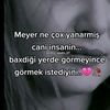 alisamireelif.578