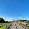 oskarmlg