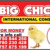 bigchicken09
